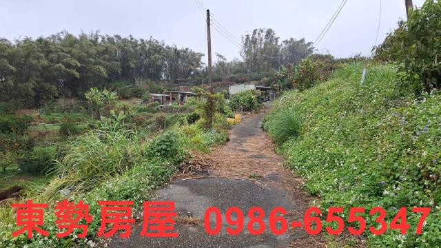 卓蘭農地-5