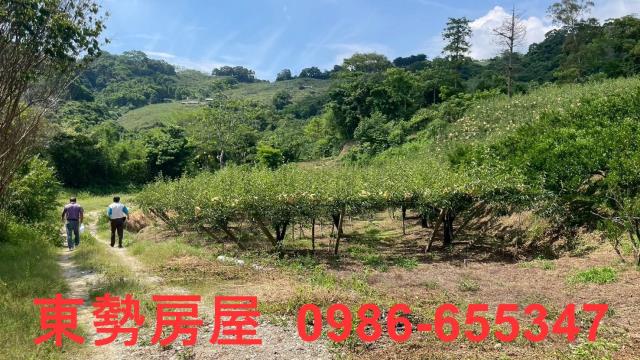 苗栗農地-10