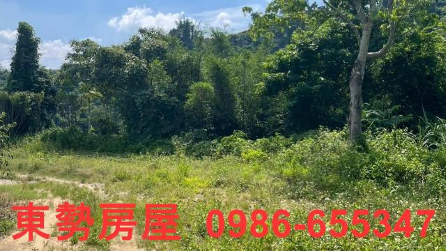 苗栗農地-13