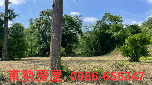 苗栗農地-14