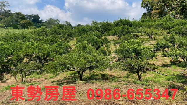 苗栗農地-1