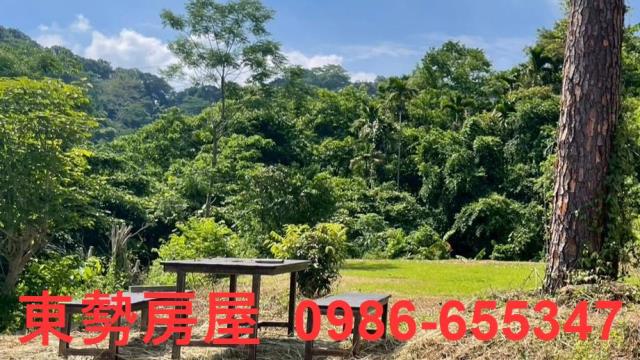 苗栗農地-2