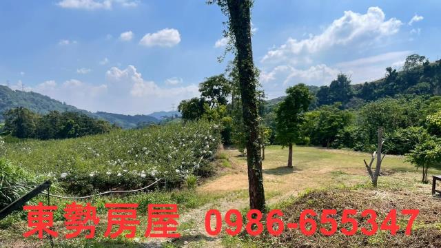 苗栗農地-5