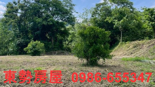苗栗農地-8