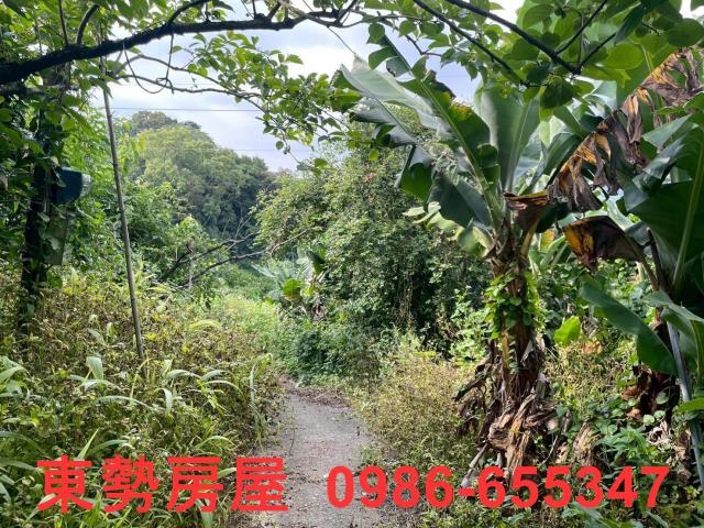東勢農地-1