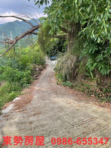 東勢農地-3