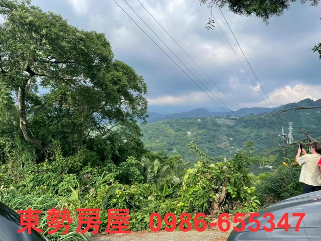 東勢農地-4