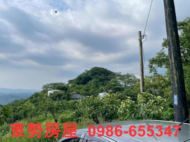 東勢農地-5