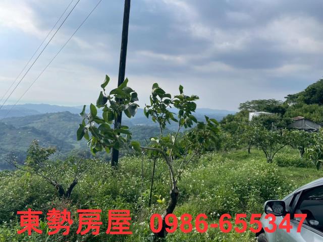 東勢農地-6