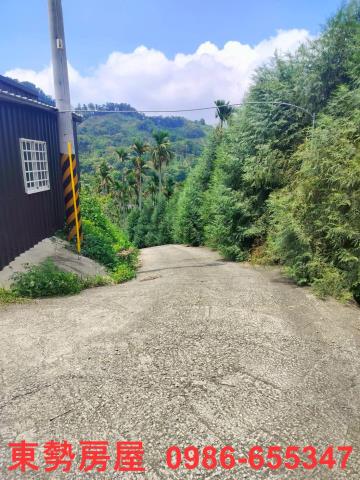 和平農地-12