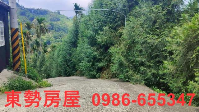 和平農地-1