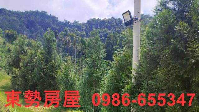 和平農地-8