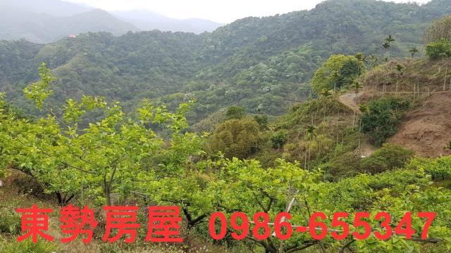 台中農地-12