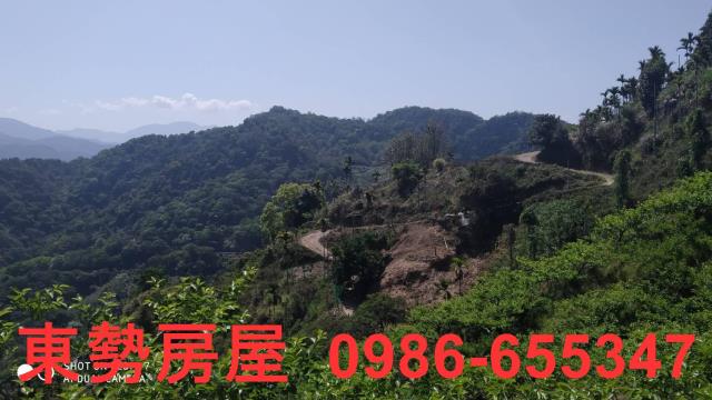 台中農地-13