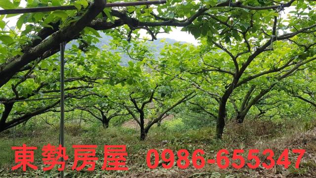 台中農地-0