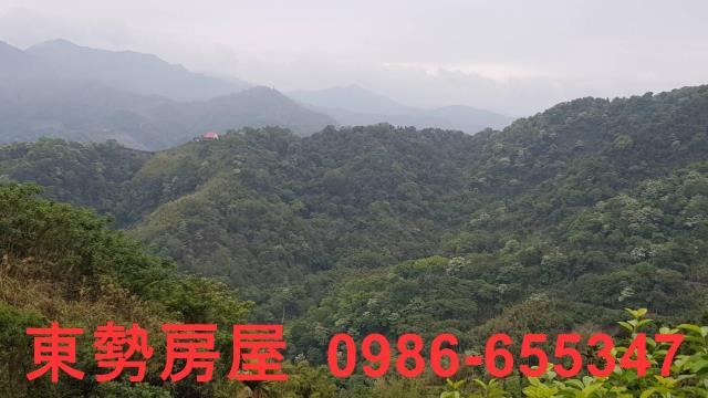 台中農地-3
