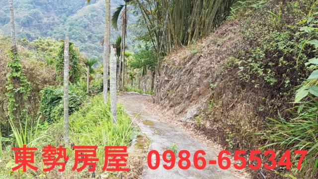 台中農地-5