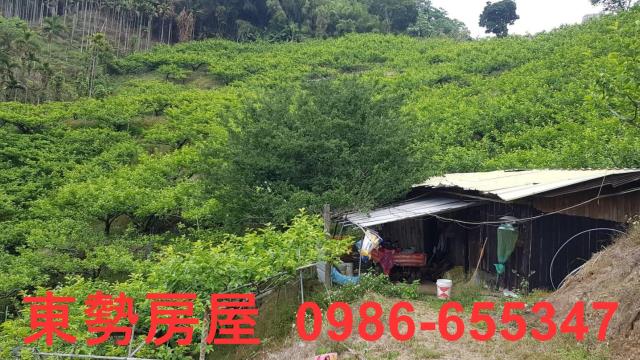 台中農地-8