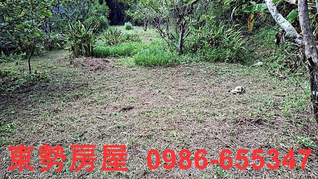 東勢農地-9