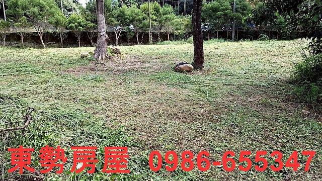 東勢農地-10