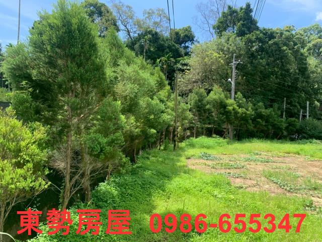 東勢農地-2