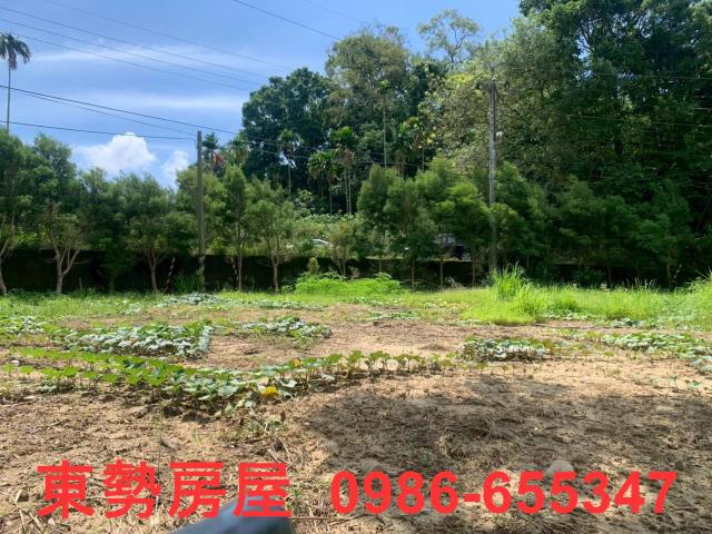 東勢農地-3