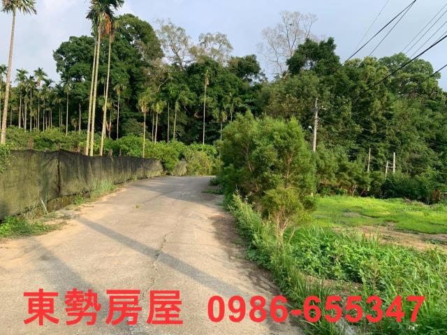 東勢農地-5