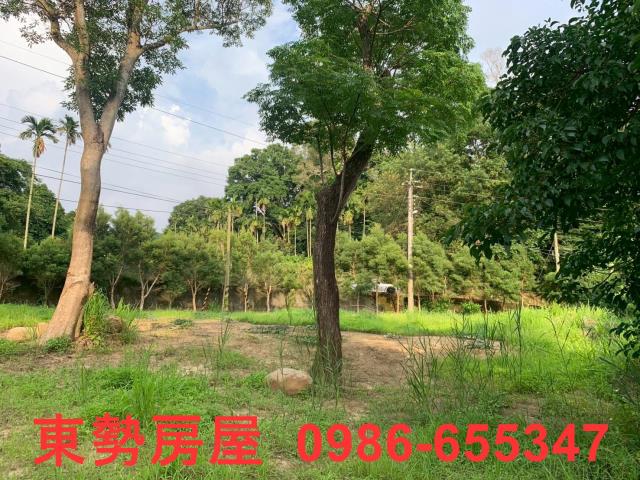 東勢農地-8